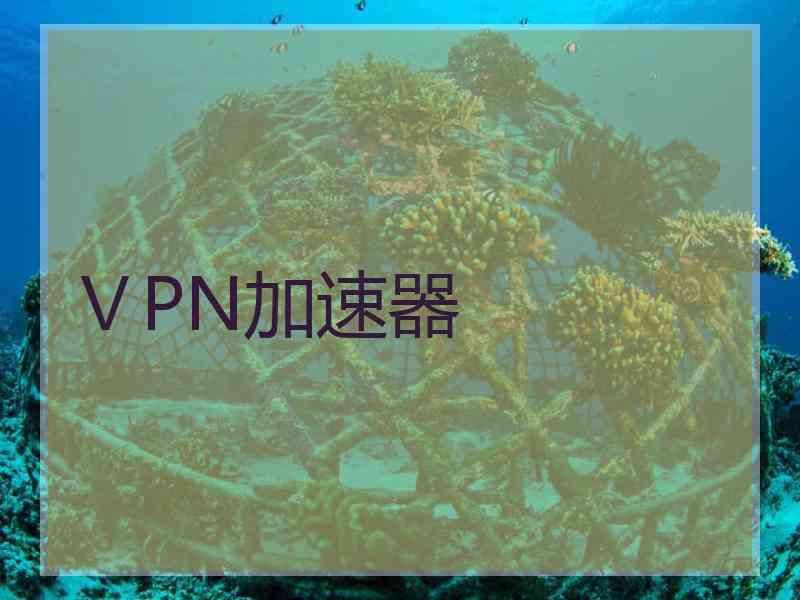 ⅤPN加速器