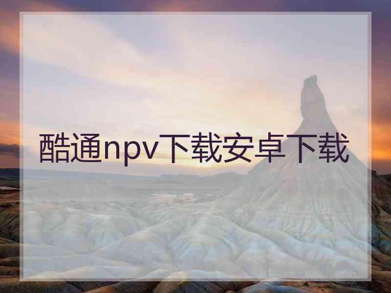 酷通npv下载安卓下载