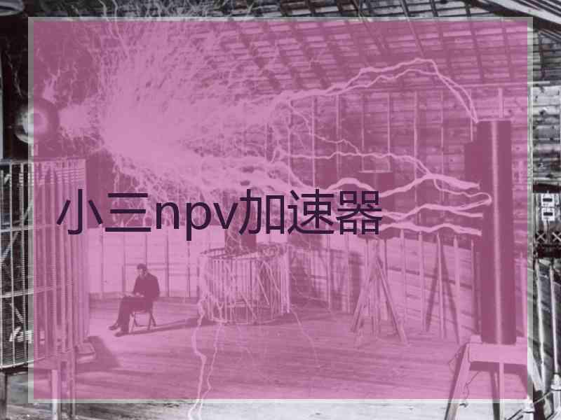 小三npv加速器