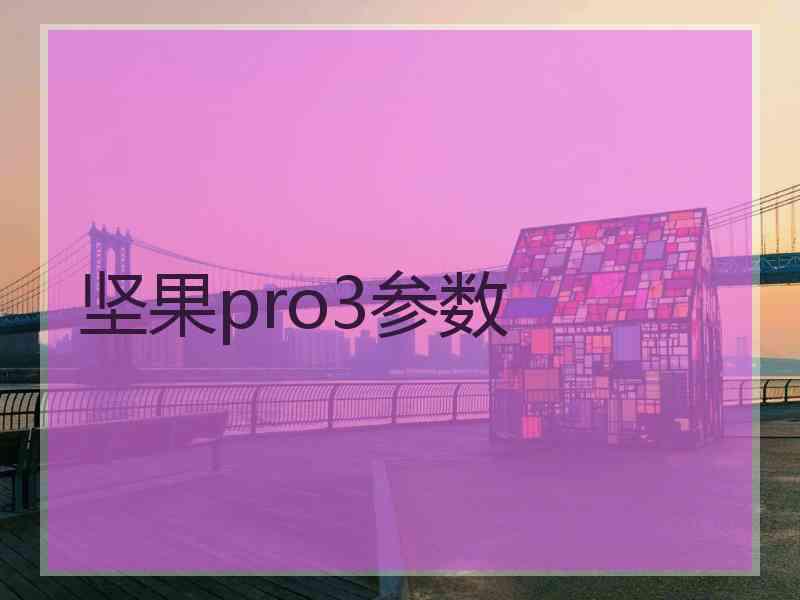 坚果pro3参数