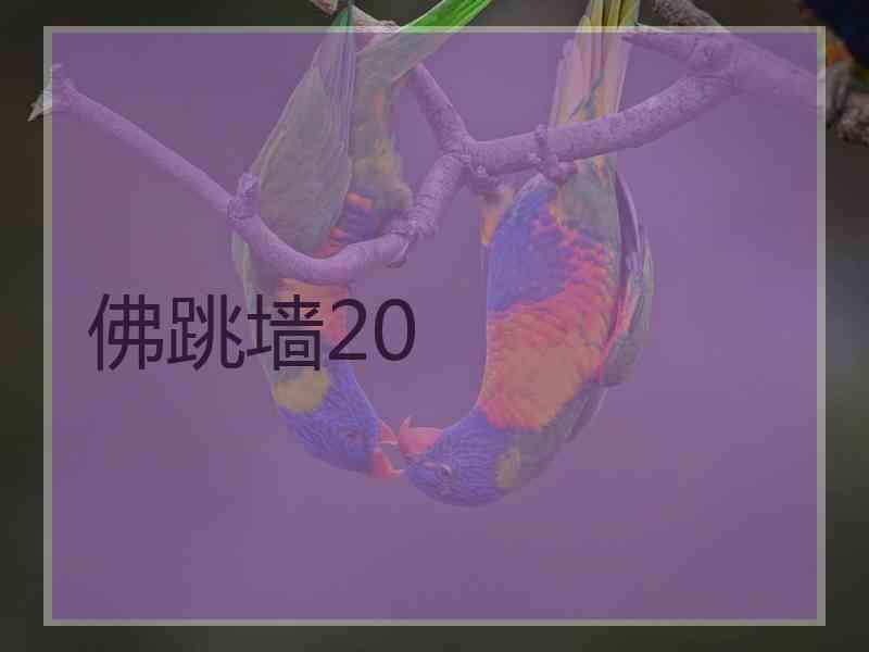 佛跳墙20