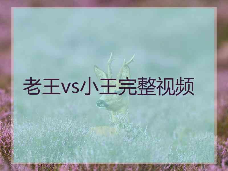 老王vs小王完整视频