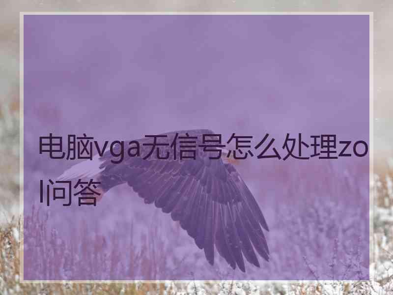 电脑vga无信号怎么处理zol问答