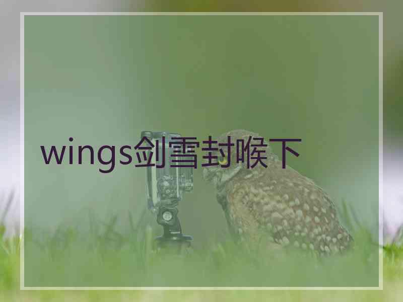 wings剑雪封喉下