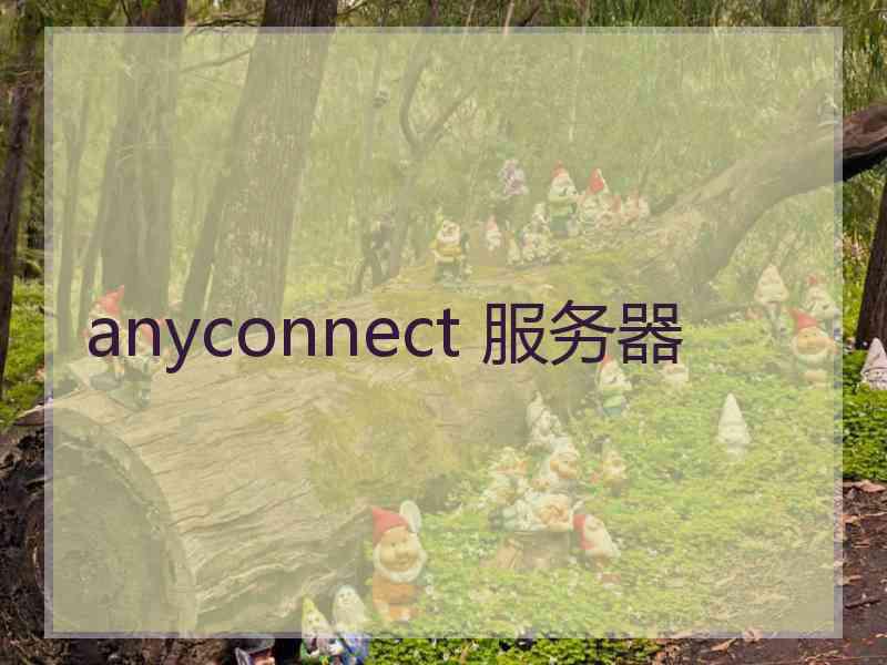 anyconnect 服务器