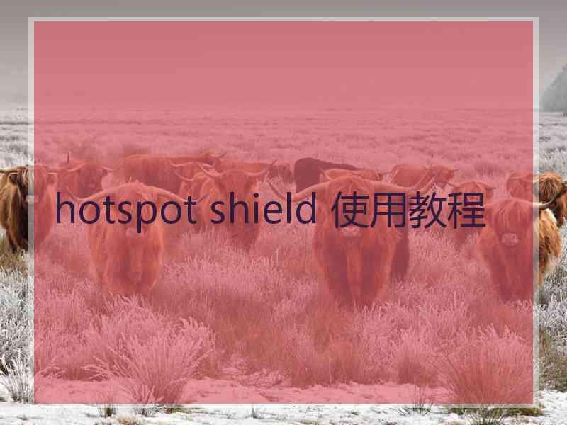 hotspot shield 使用教程