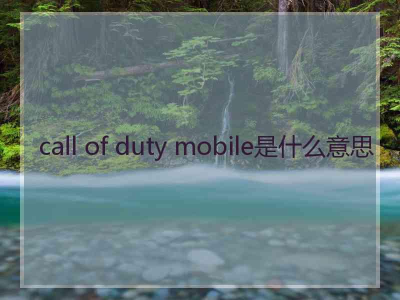 call of duty mobile是什么意思