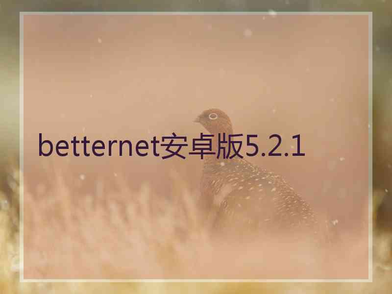 betternet安卓版5.2.1