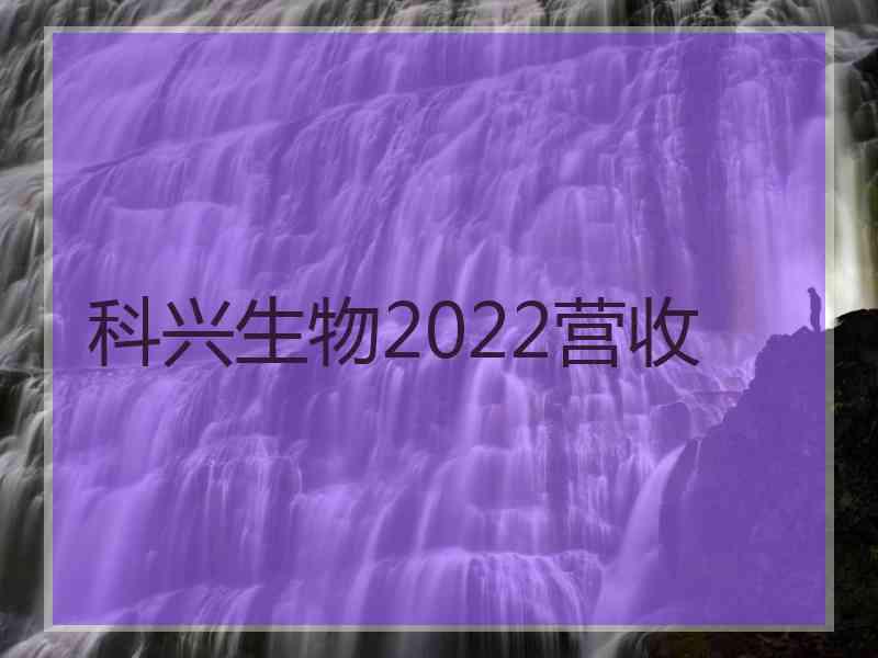 科兴生物2022营收