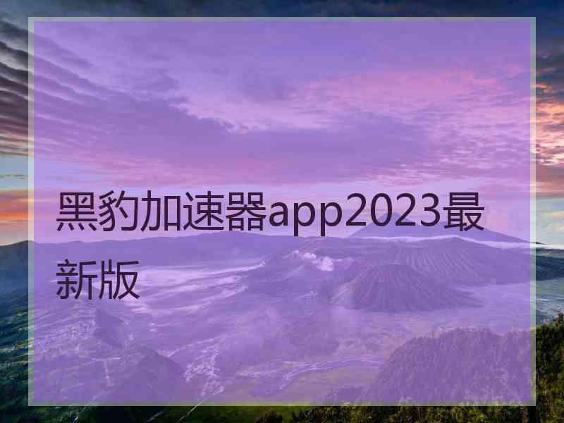 黑豹加速器app2023最新版