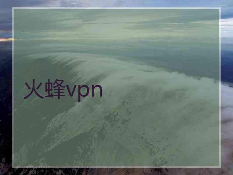 火蜂vpn