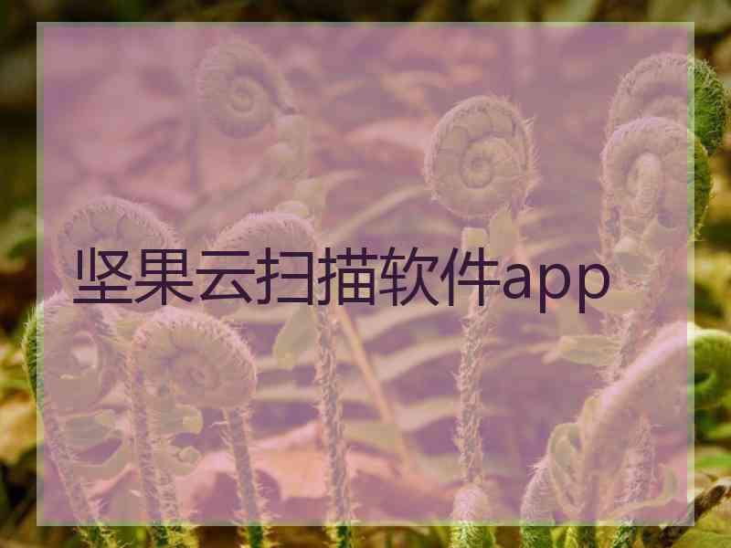 坚果云扫描软件app