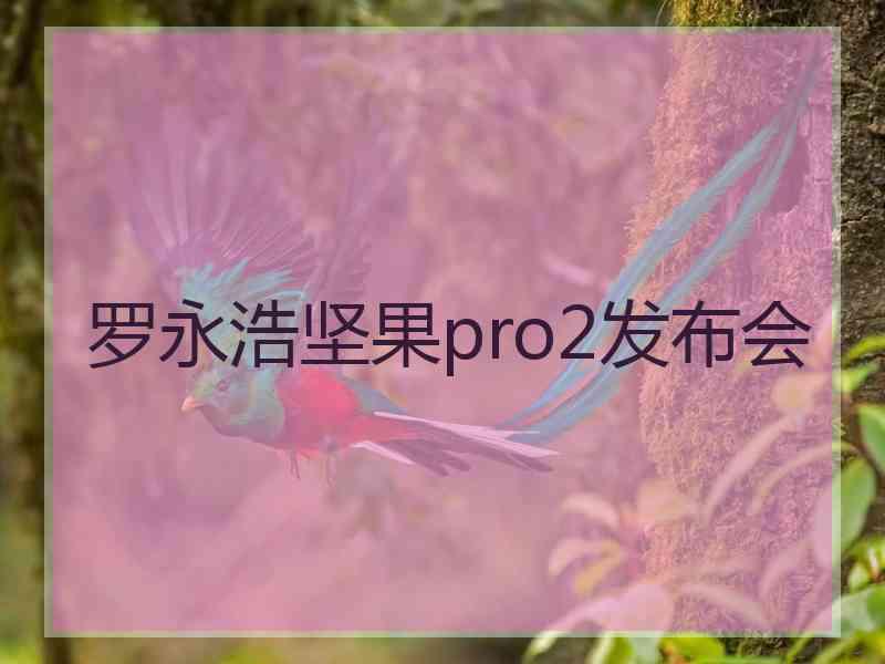 罗永浩坚果pro2发布会