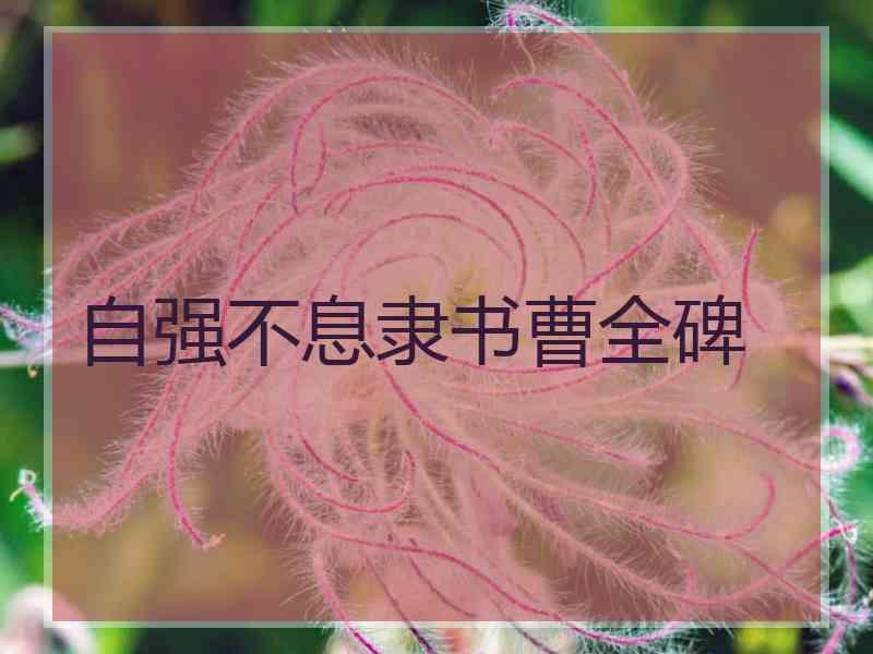 自强不息隶书曹全碑