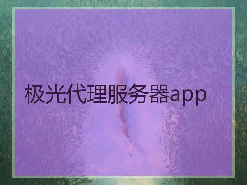 极光代理服务器app