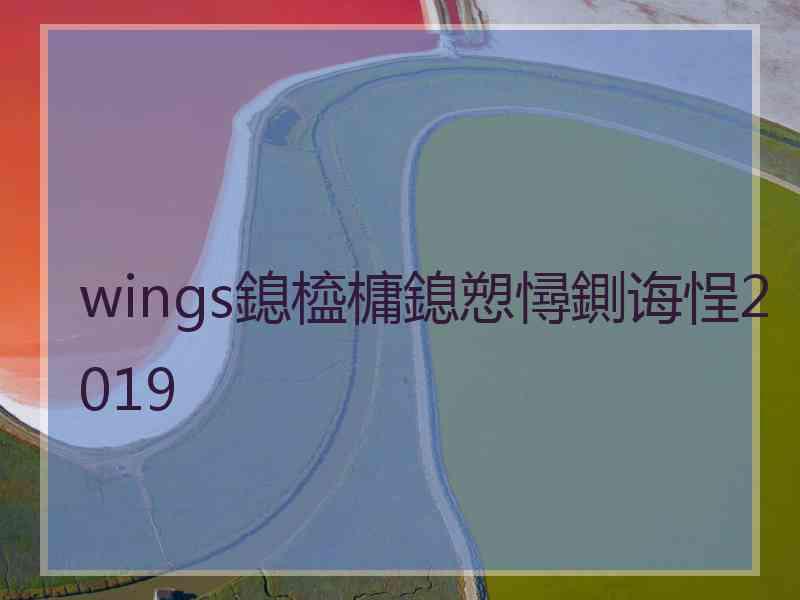 wings鎴橀槦鎴愬憳鍘诲悜2019