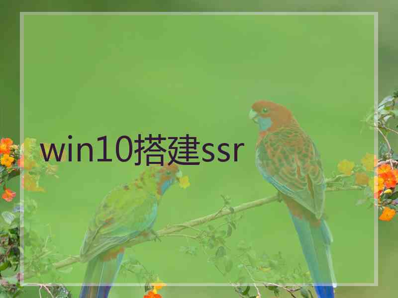 win10搭建ssr