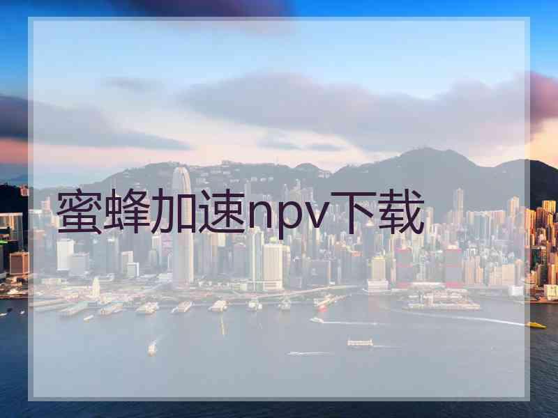 蜜蜂加速npv下载