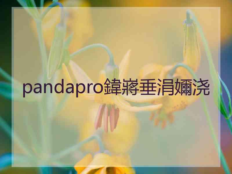 pandapro鍏嶈垂涓嬭浇