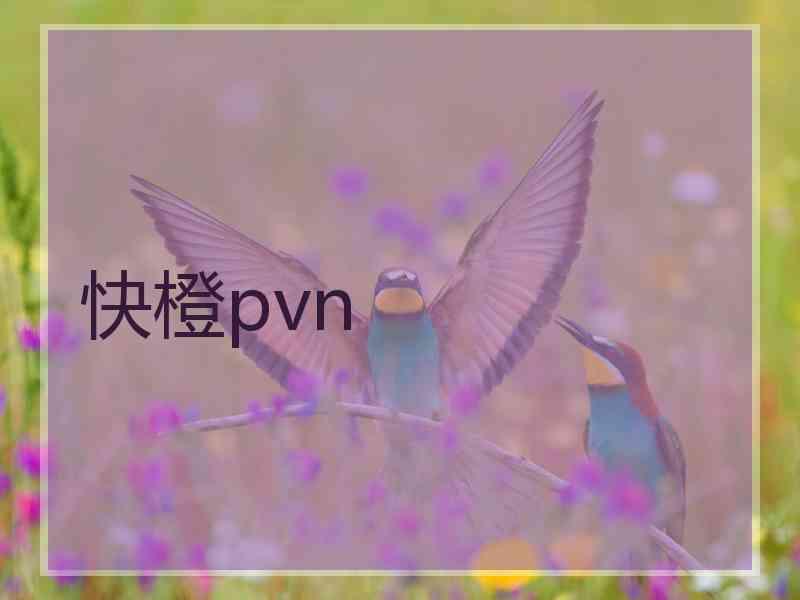 快橙pvn