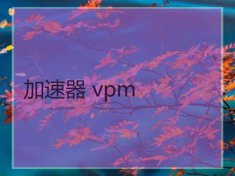 加速器 vpm