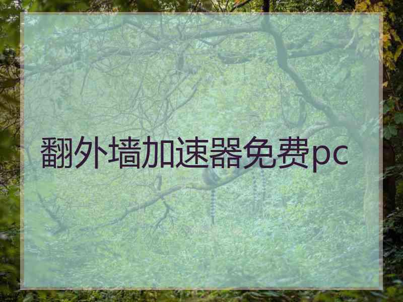 翻外墙加速器免费pc