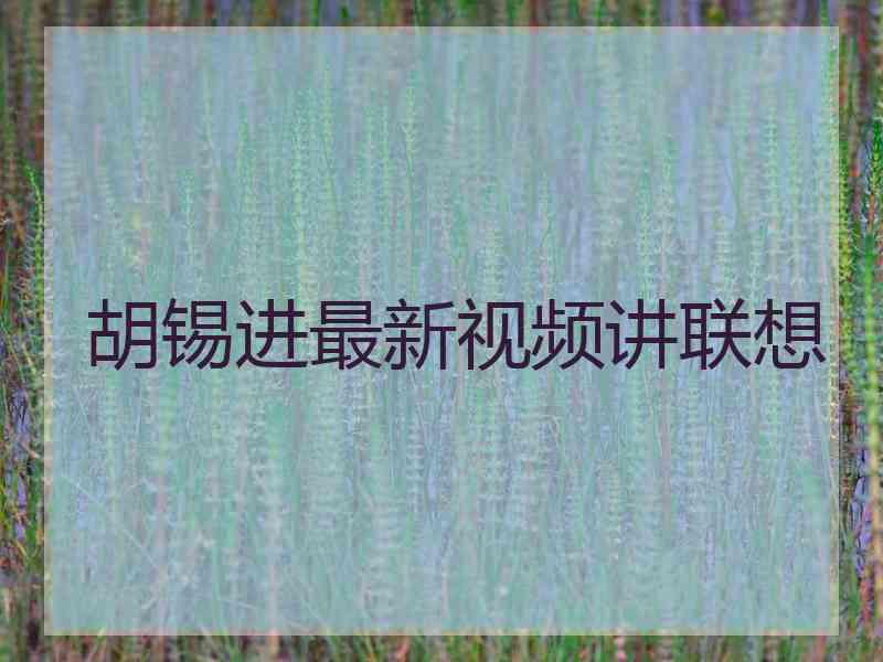 胡锡进最新视频讲联想