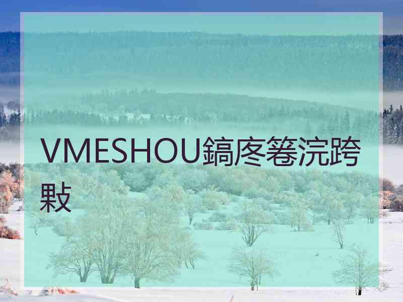 VMESHOU鎬庝箞浣跨敤