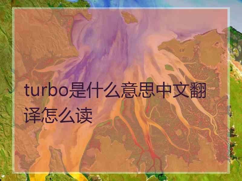 turbo是什么意思中文翻译怎么读