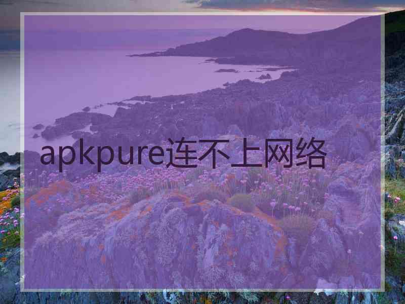 apkpure连不上网络