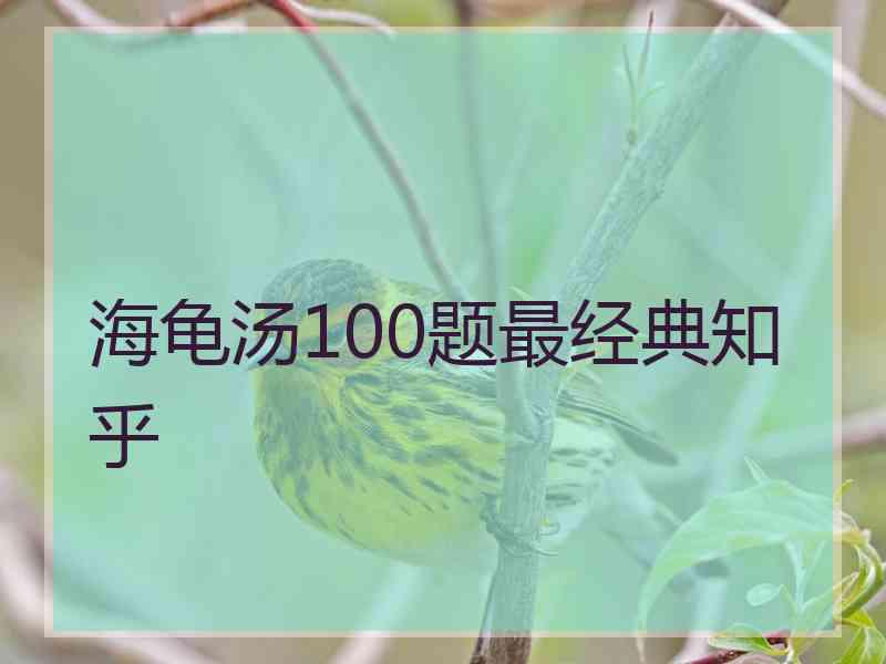 海龟汤100题最经典知乎