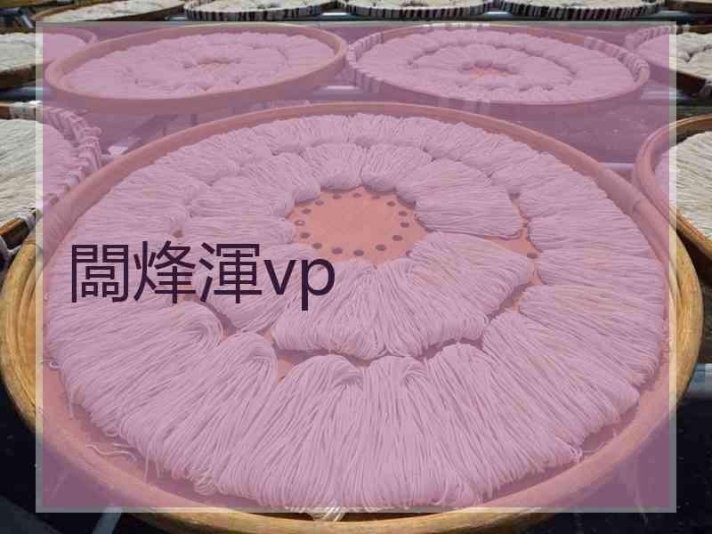 闆烽渾vp