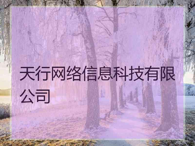 天行网络信息科技有限公司