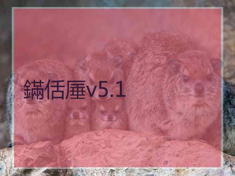 鏋佸厜v5.1