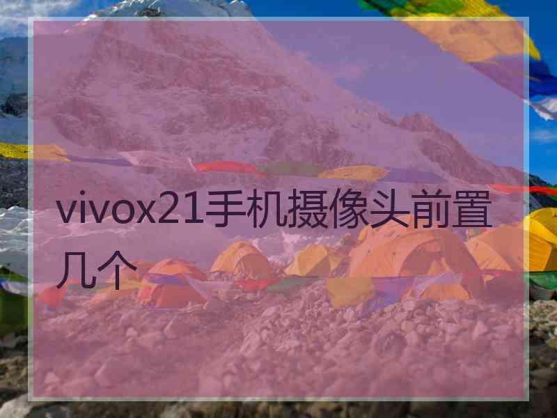 vivox21手机摄像头前置几个