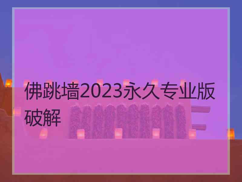 佛跳墙2023永久专业版破解