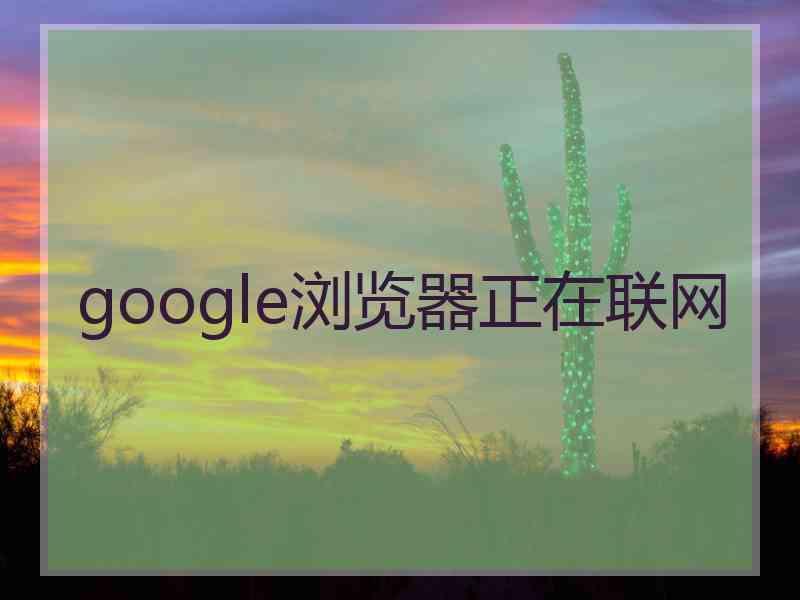 google浏览器正在联网