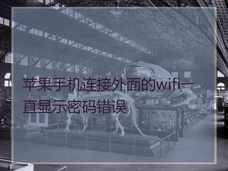 苹果手机连接外面的wifi一直显示密码错误