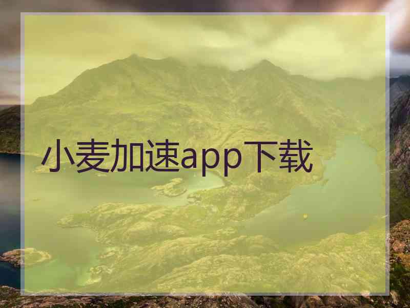 小麦加速app下载