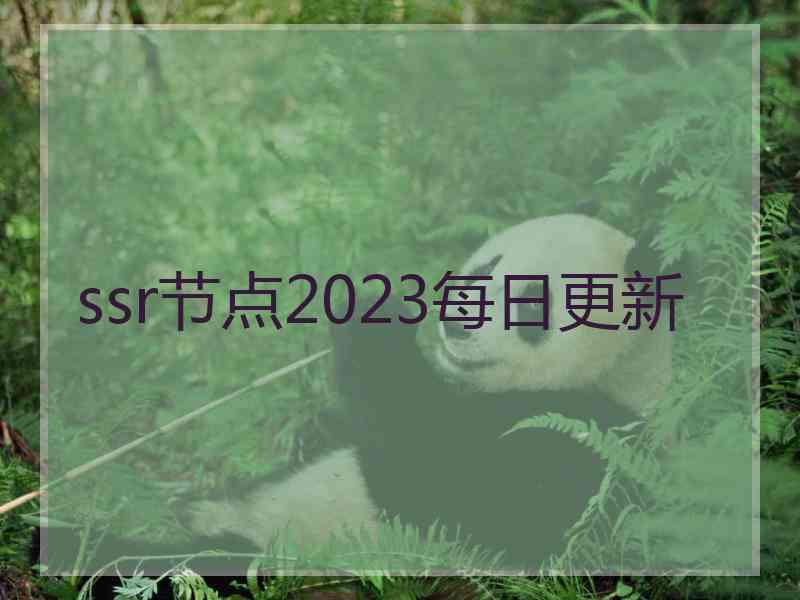 ssr节点2023每日更新