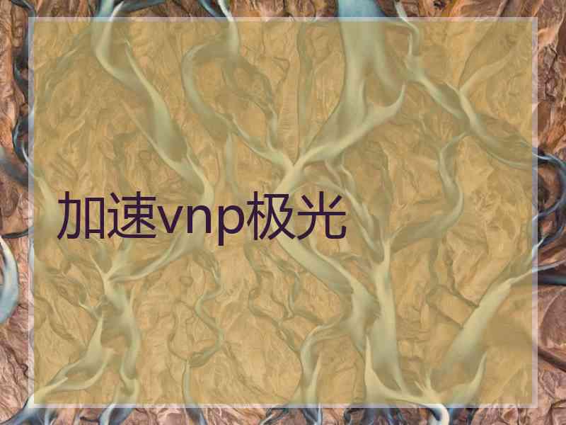 加速vnp极光