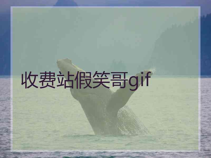 收费站假笑哥gif