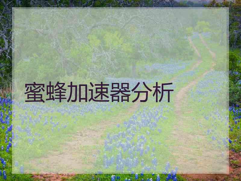 蜜蜂加速器分析