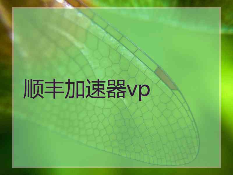 顺丰加速器vp