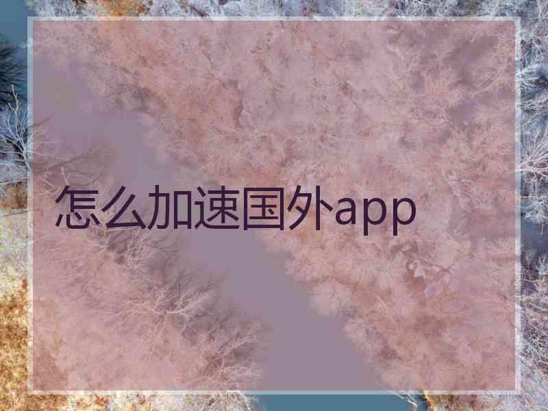 怎么加速国外app