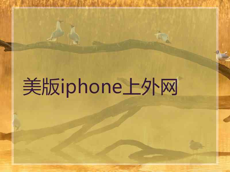 美版iphone上外网