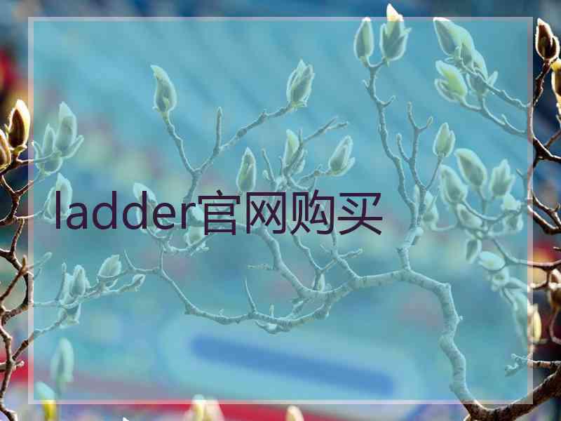 ladder官网购买