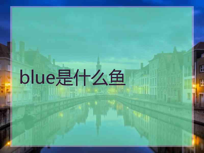 blue是什么鱼