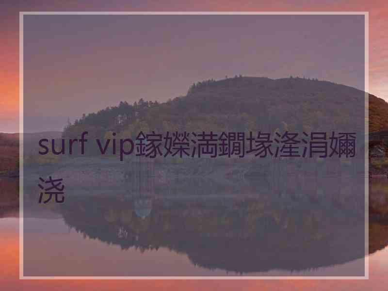 surf vip鎵嬫満鐗堟湰涓嬭浇