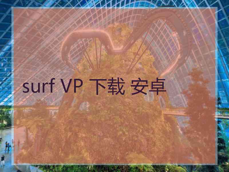 surf VP 下载 安卓